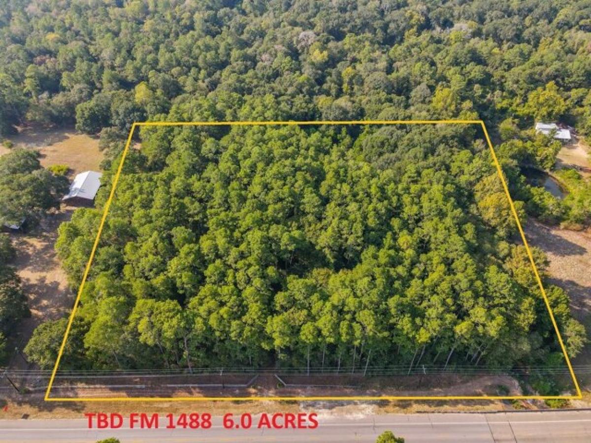 Picture of Residential Land For Sale in Magnolia, Texas, United States