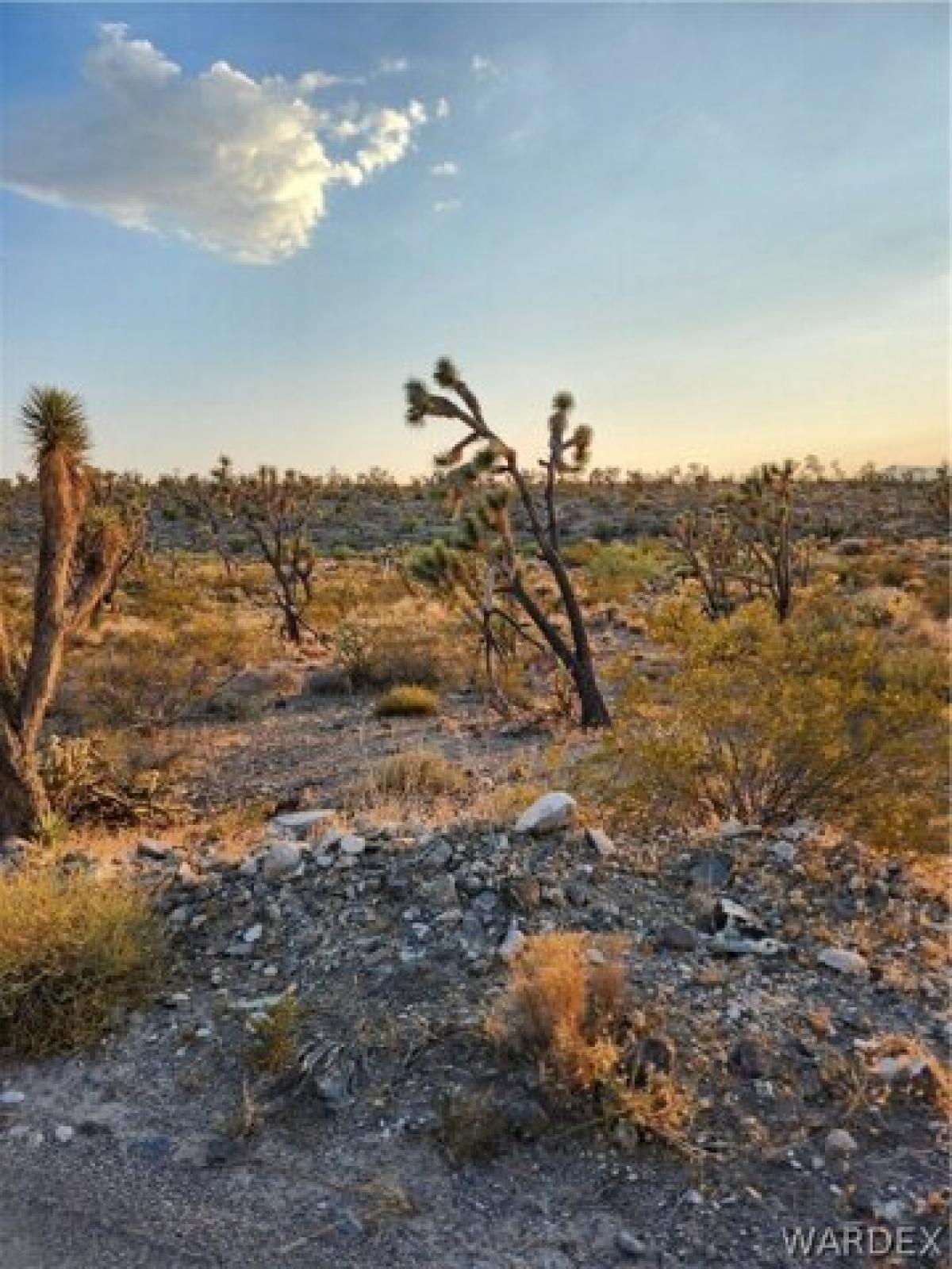 Picture of Residential Land For Sale in Dolan Springs, Arizona, United States