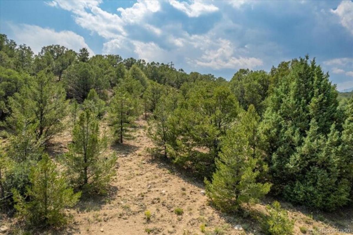 Picture of Residential Land For Sale in Salida, Colorado, United States