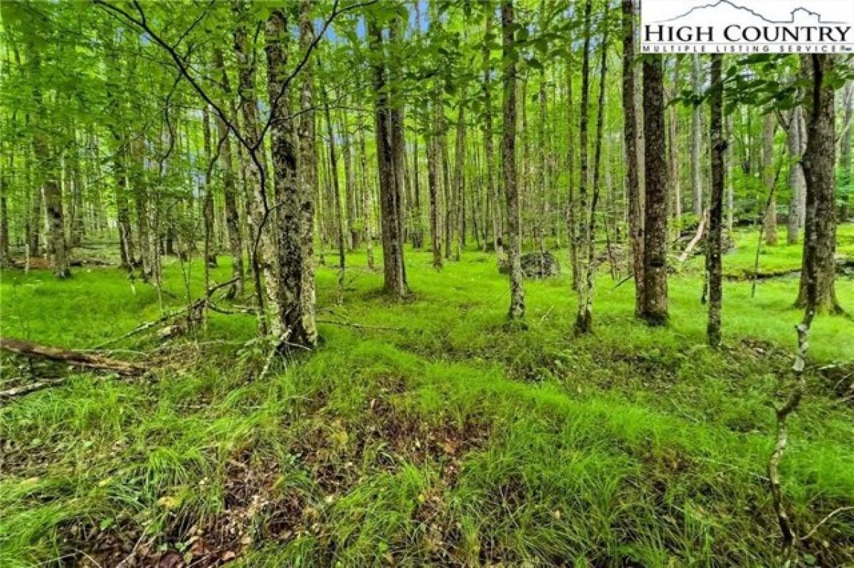 Picture of Residential Land For Sale in Banner Elk, North Carolina, United States