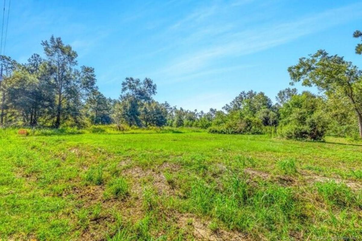 Picture of Residential Land For Sale in Ragley, Louisiana, United States