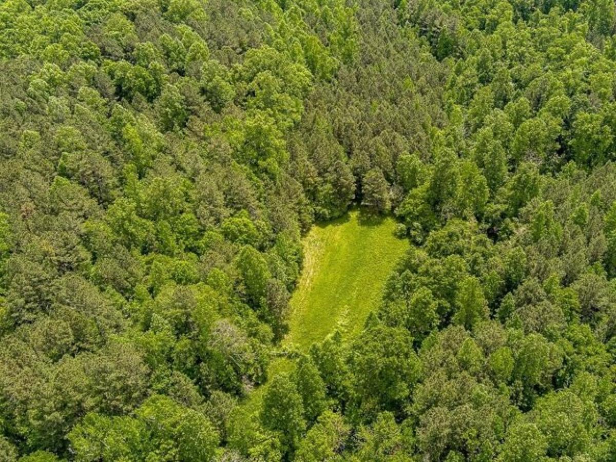 Picture of Residential Land For Sale in Canton, Georgia, United States