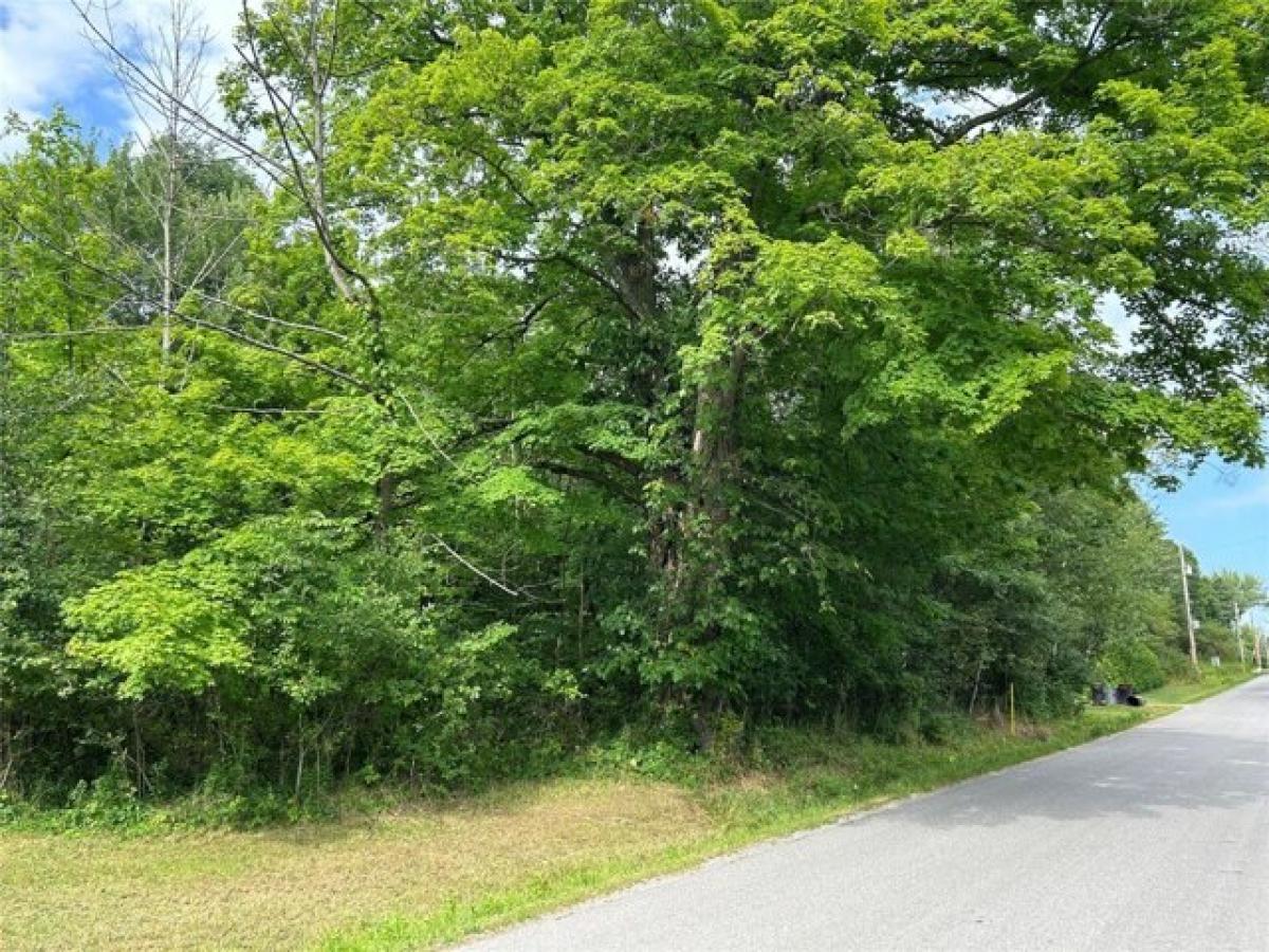 Picture of Residential Land For Sale in Espyville, Pennsylvania, United States