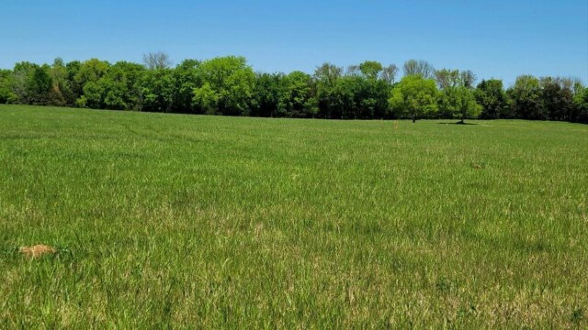 Picture of Residential Land For Sale in Unionville, Tennessee, United States