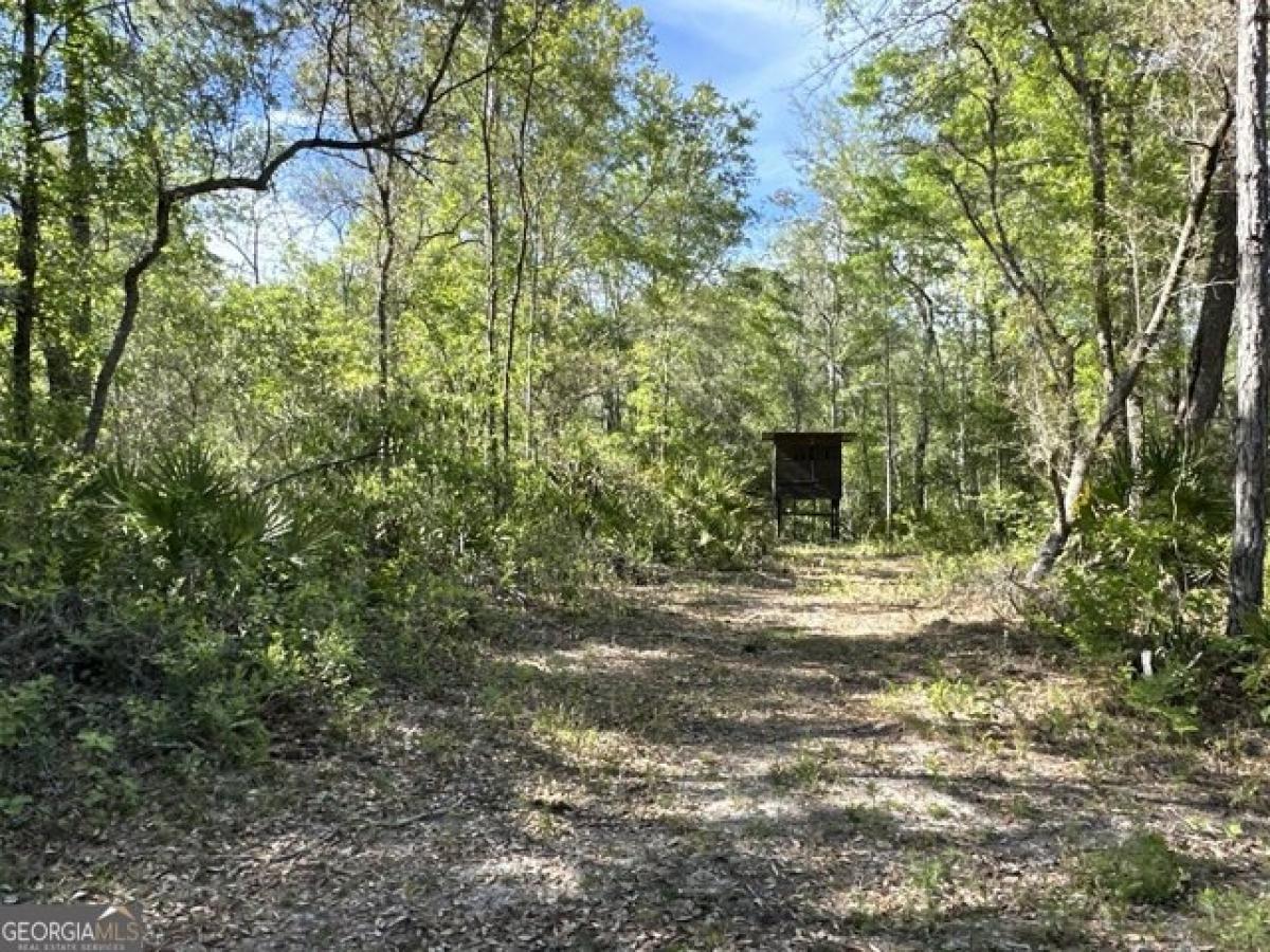 Picture of Residential Land For Sale in Jesup, Georgia, United States