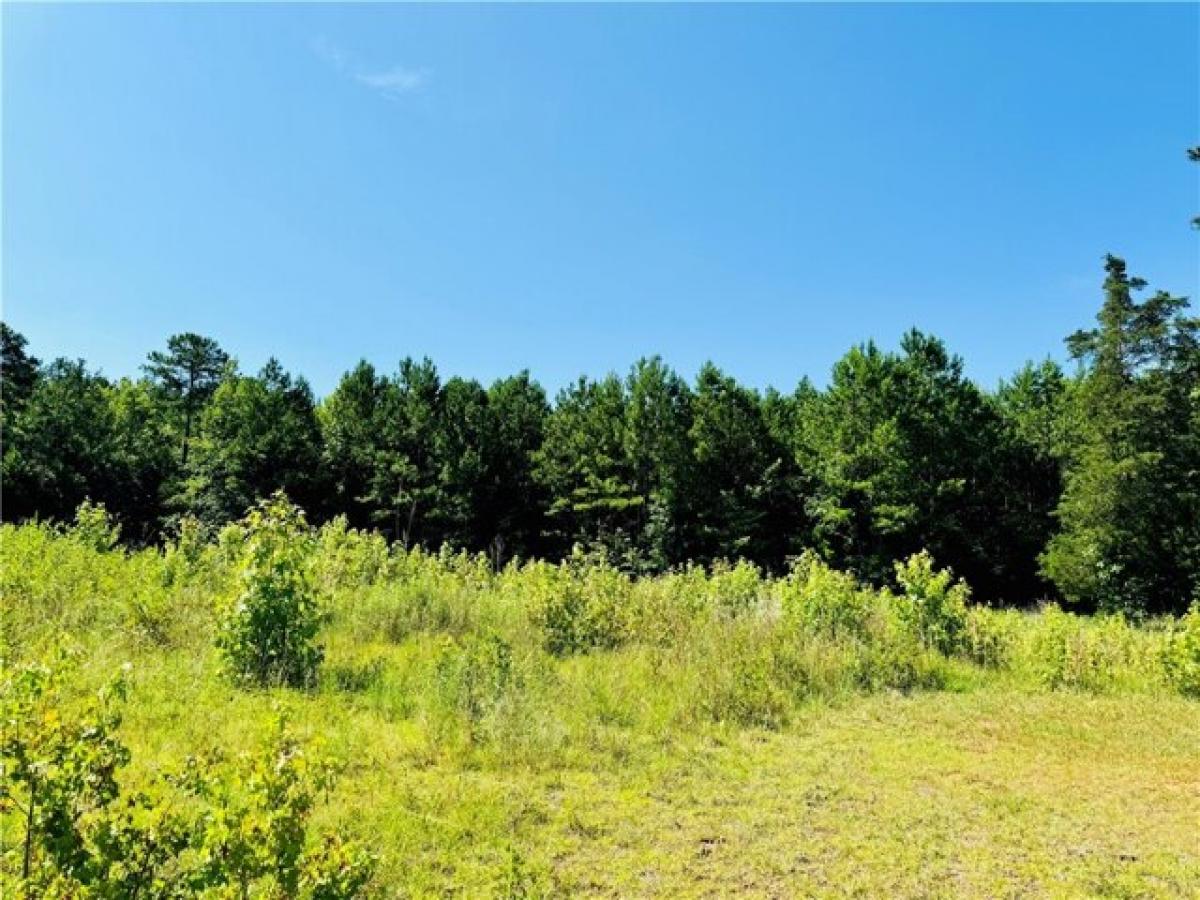 Picture of Residential Land For Sale in Abbeville, South Carolina, United States