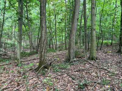 Residential Land For Sale in 