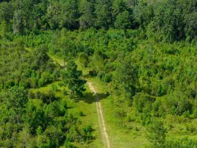 Residential Land For Sale in Hahira, Georgia