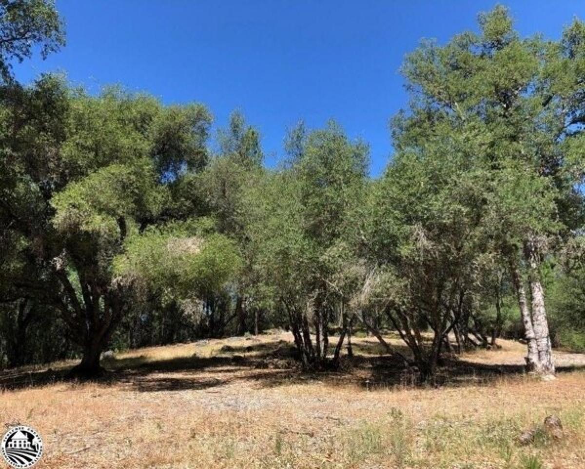 Picture of Residential Land For Sale in Sonora, California, United States