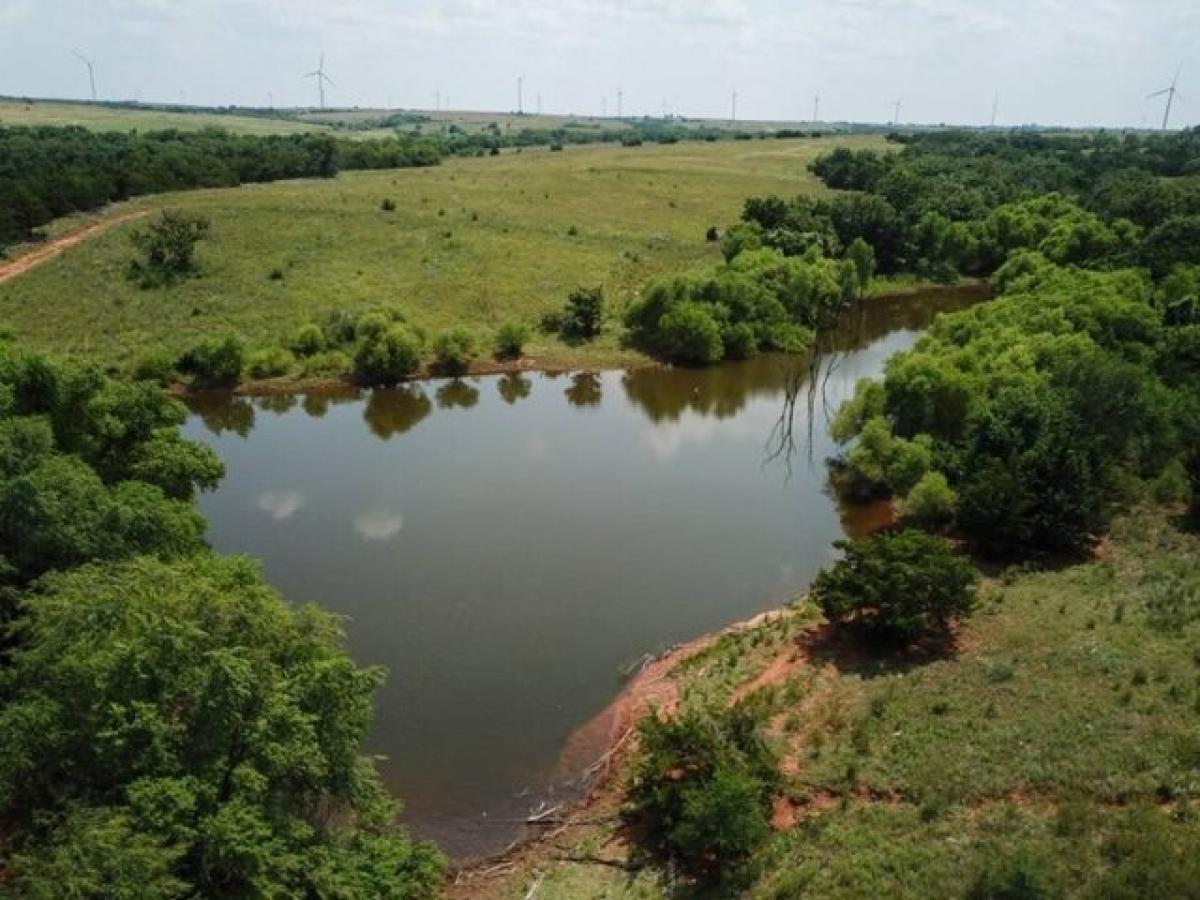 Picture of Residential Land For Sale in Taloga, Oklahoma, United States