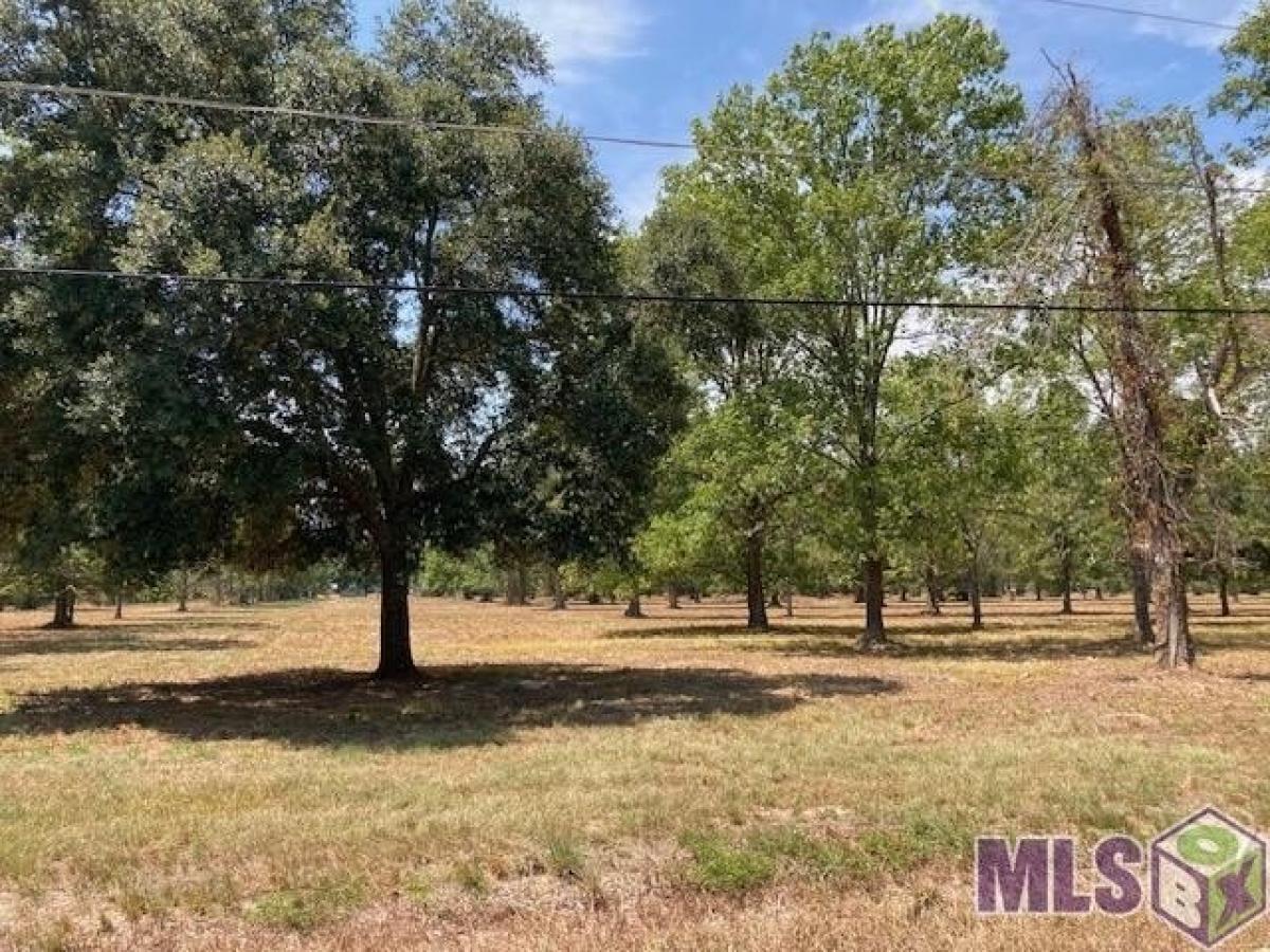 Picture of Residential Land For Sale in Gonzales, Louisiana, United States