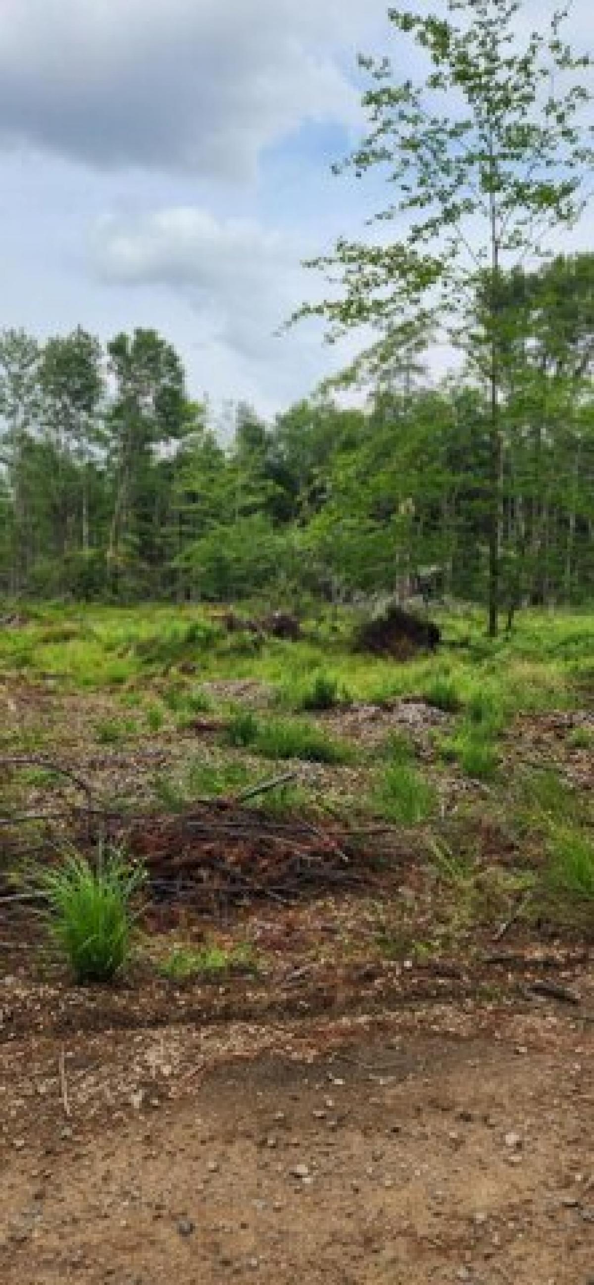 Picture of Residential Land For Sale in Lebanon, Maine, United States