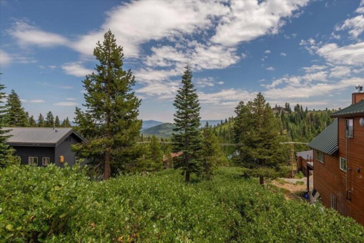 Picture of Residential Land For Sale in Truckee, California, United States