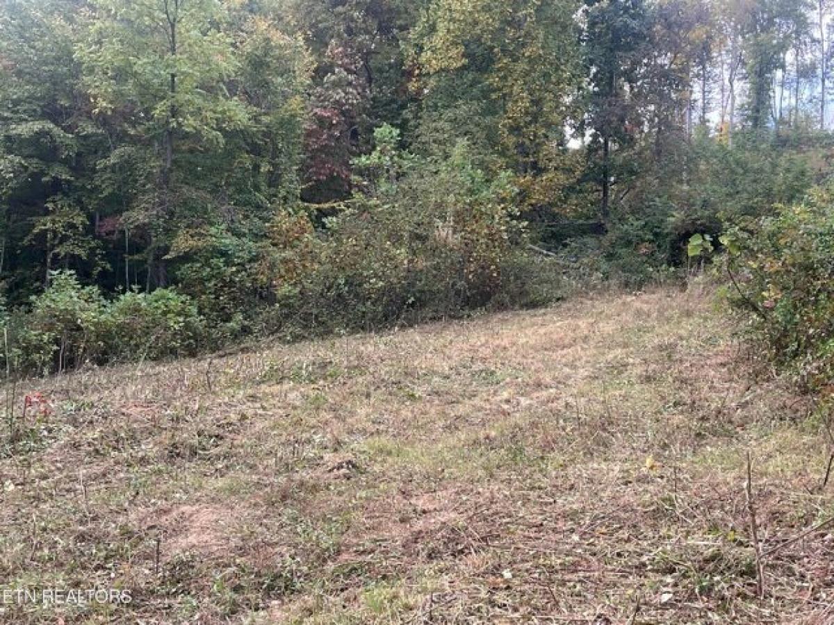 Picture of Residential Land For Sale in Tazewell, Tennessee, United States