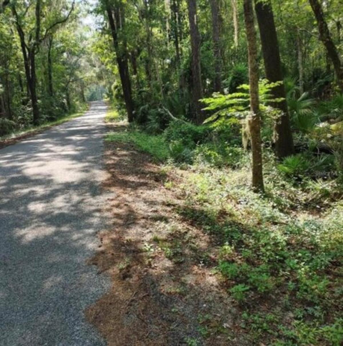 Picture of Residential Land For Sale in Micanopy, Florida, United States