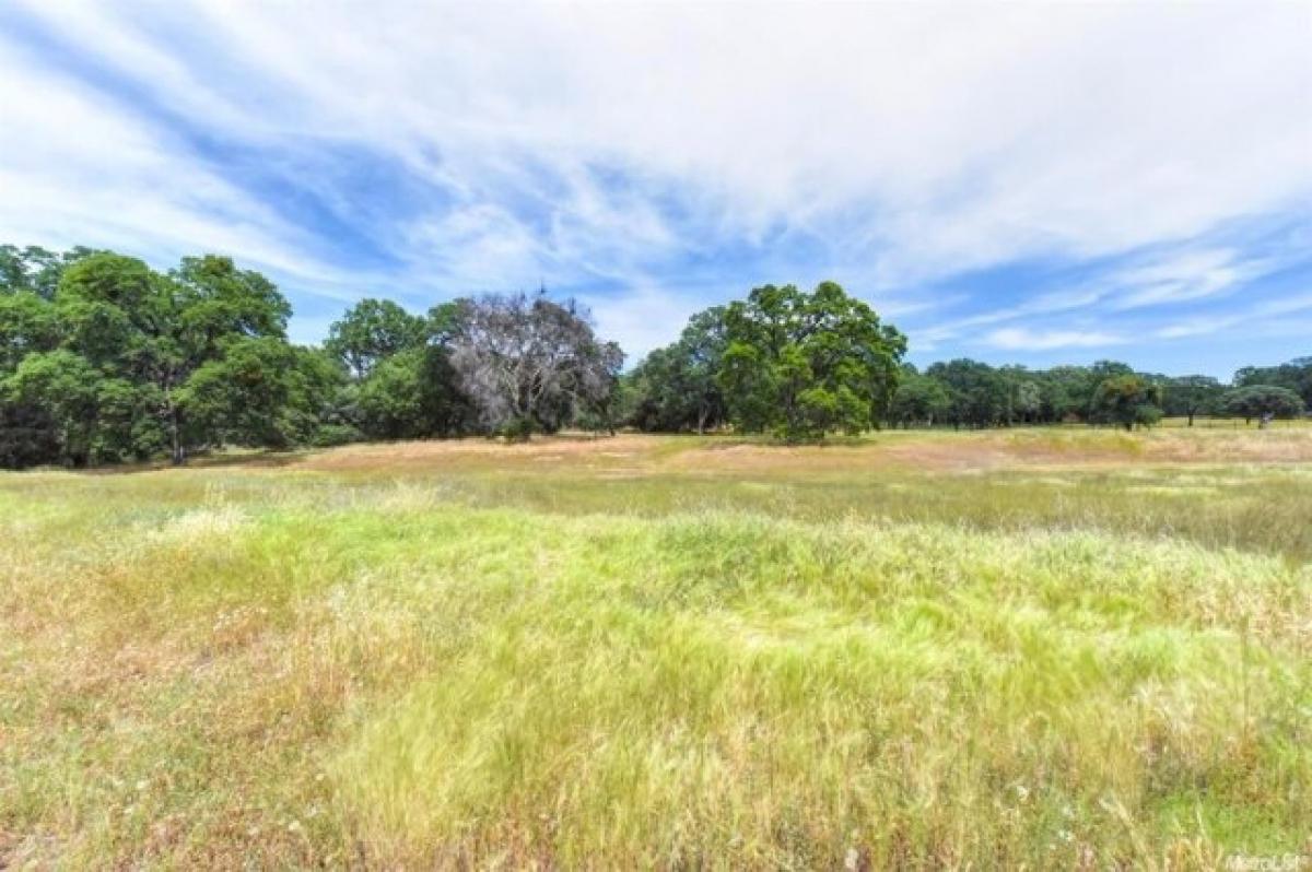 Picture of Residential Land For Sale in El Dorado Hills, California, United States