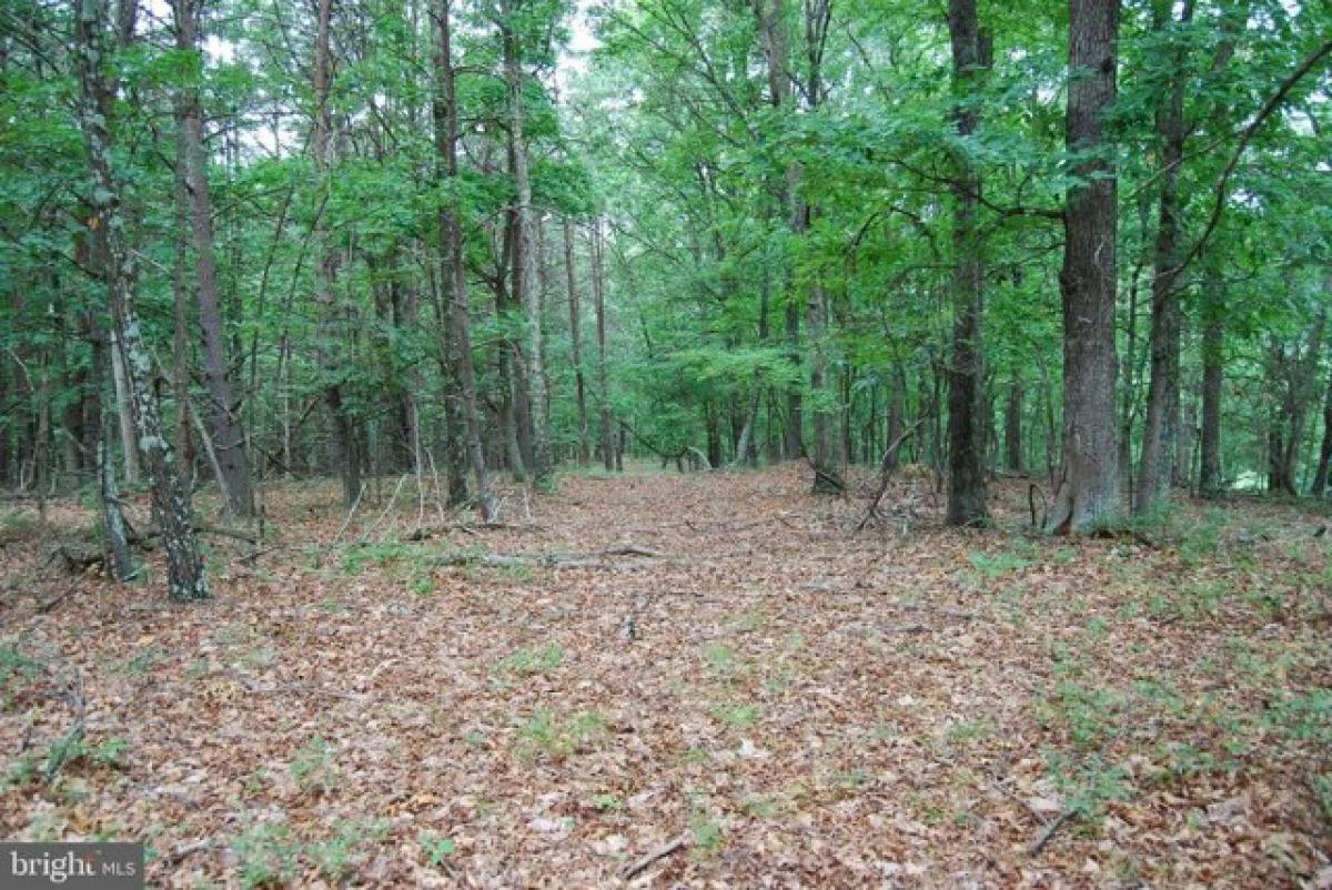 Picture of Residential Land For Sale in Moorefield, West Virginia, United States