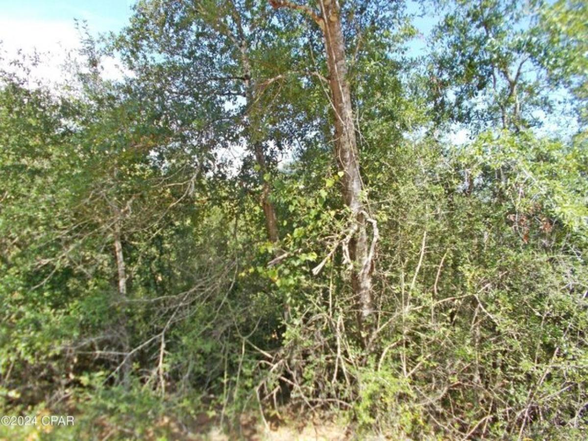 Picture of Residential Land For Sale in Alford, Florida, United States