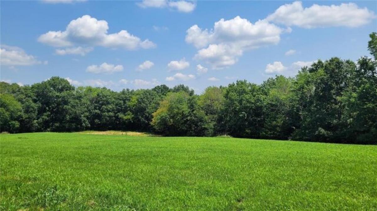 Picture of Residential Land For Sale in Foley, Missouri, United States