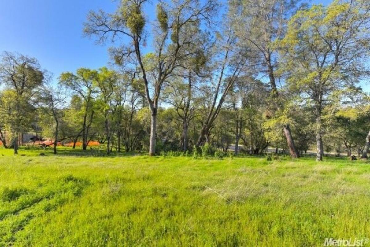 Picture of Residential Land For Sale in El Dorado Hills, California, United States