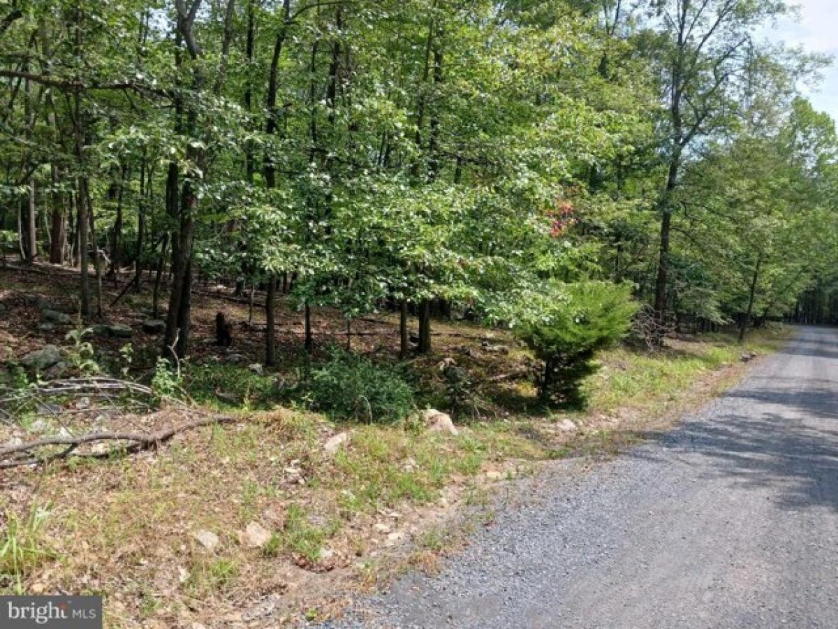 Picture of Residential Land For Sale in Paw Paw, West Virginia, United States