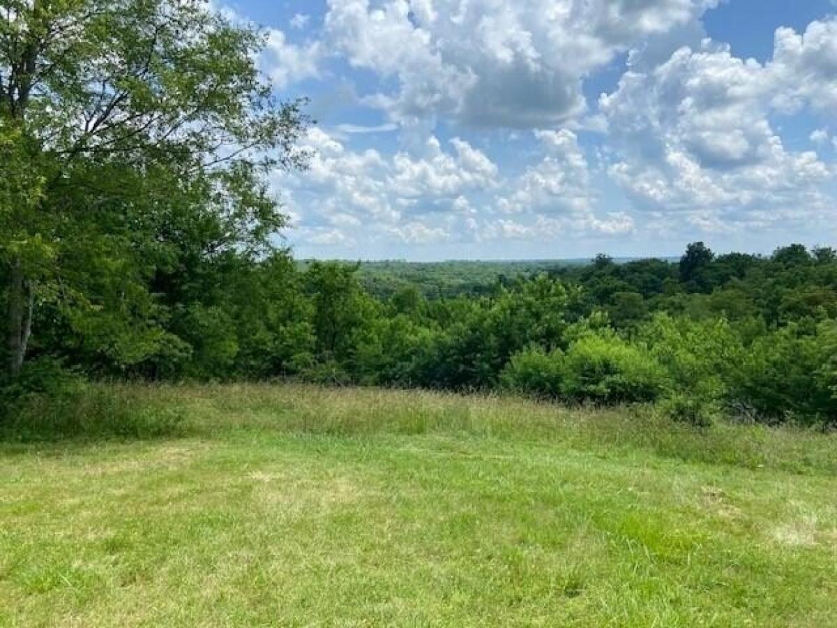 Picture of Residential Land For Sale in Brooksville, Kentucky, United States