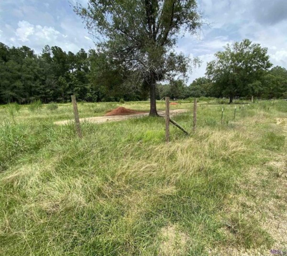 Picture of Residential Land For Sale in Holden, Louisiana, United States