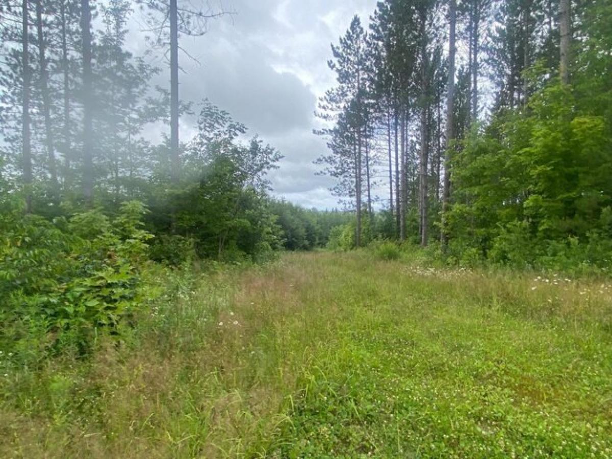 Picture of Residential Land For Sale in Butternut, Wisconsin, United States