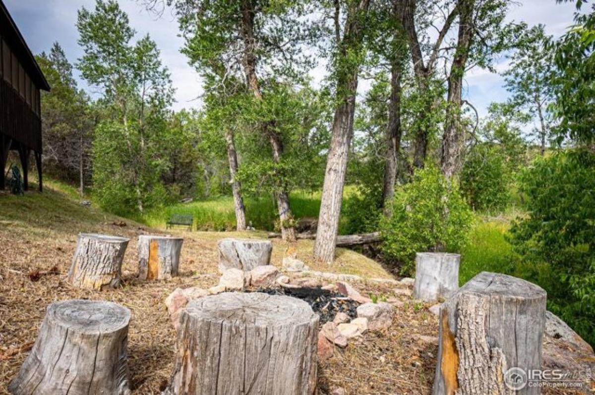 Picture of Home For Sale in Livermore, Colorado, United States