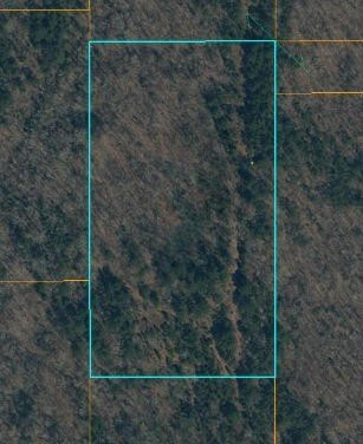 Picture of Residential Land For Sale in Pontotoc, Mississippi, United States