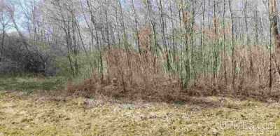 Residential Land For Sale in Ontonagon, Michigan