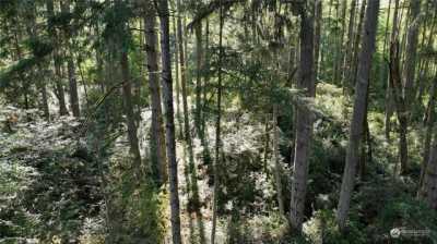 Residential Land For Sale in Anderson Island, Washington