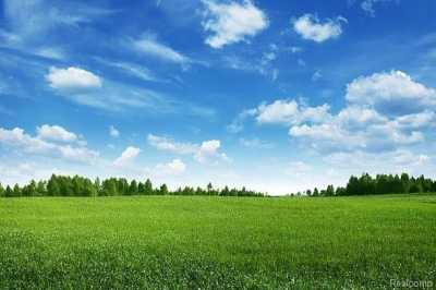 Residential Land For Sale in 