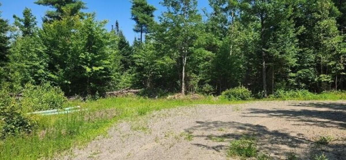 Picture of Residential Land For Sale in Greenbush, Maine, United States