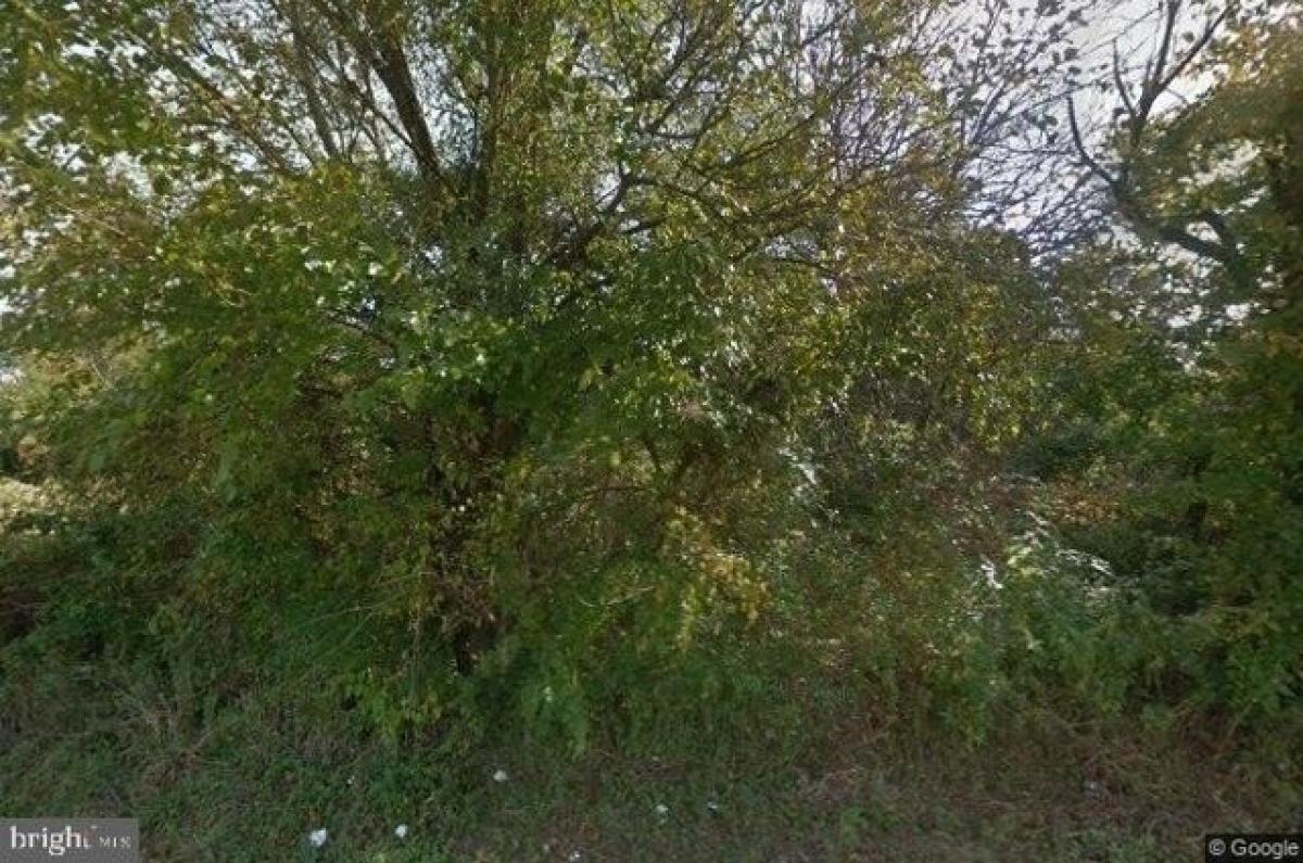 Picture of Residential Land For Sale in Glassboro, New Jersey, United States