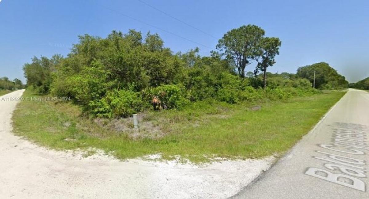 Picture of Residential Land For Sale in Clewiston, Florida, United States