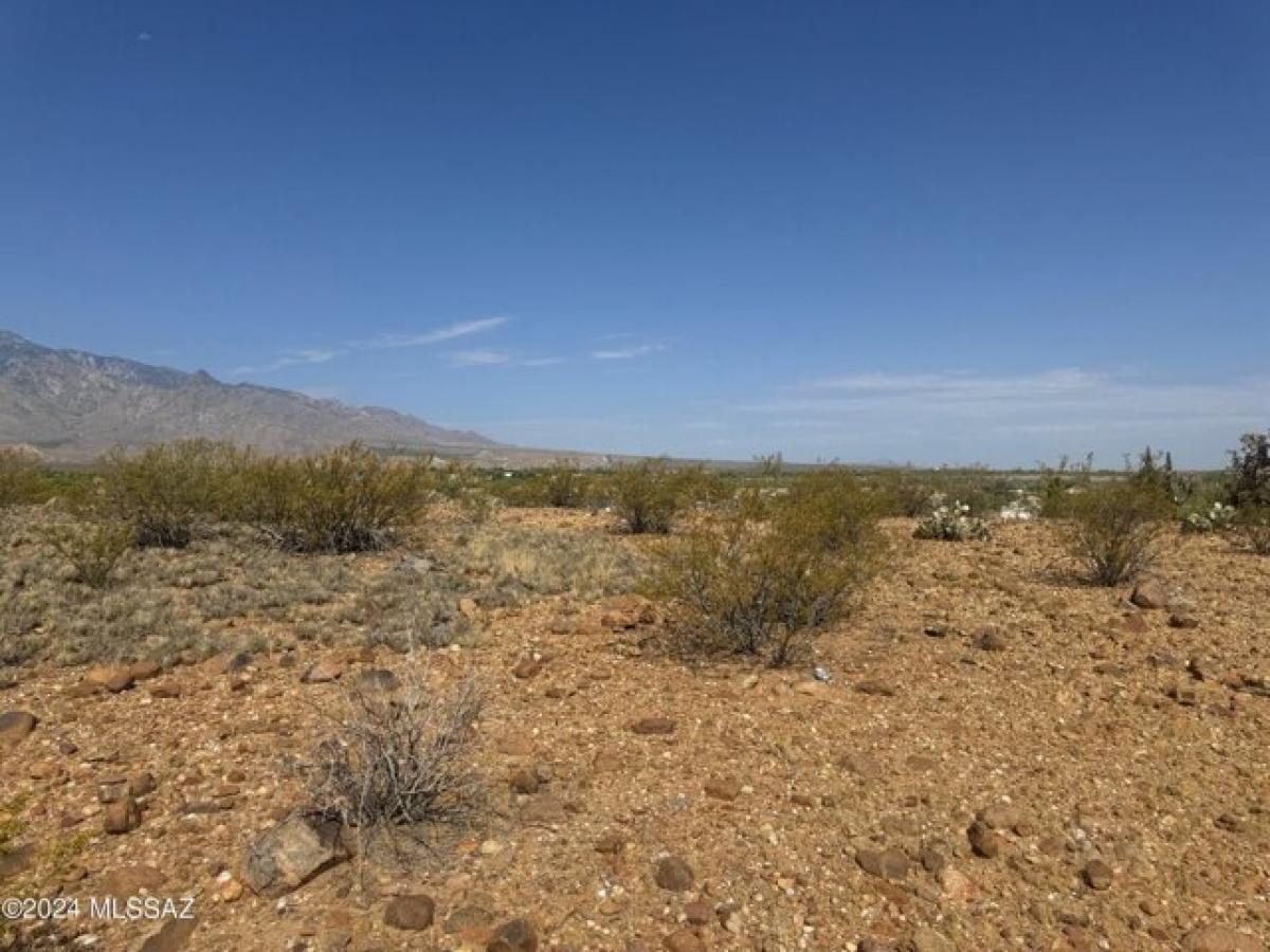 Picture of Residential Land For Sale in Safford, Arizona, United States