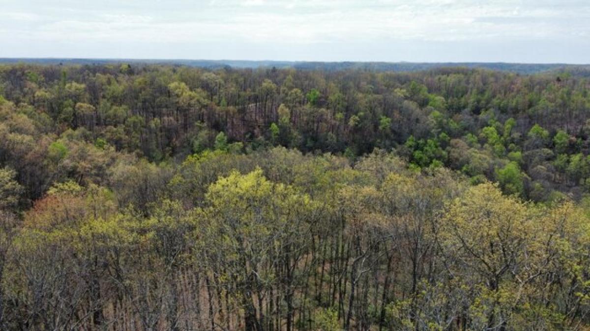 Picture of Residential Land For Sale in Frenchburg, Kentucky, United States