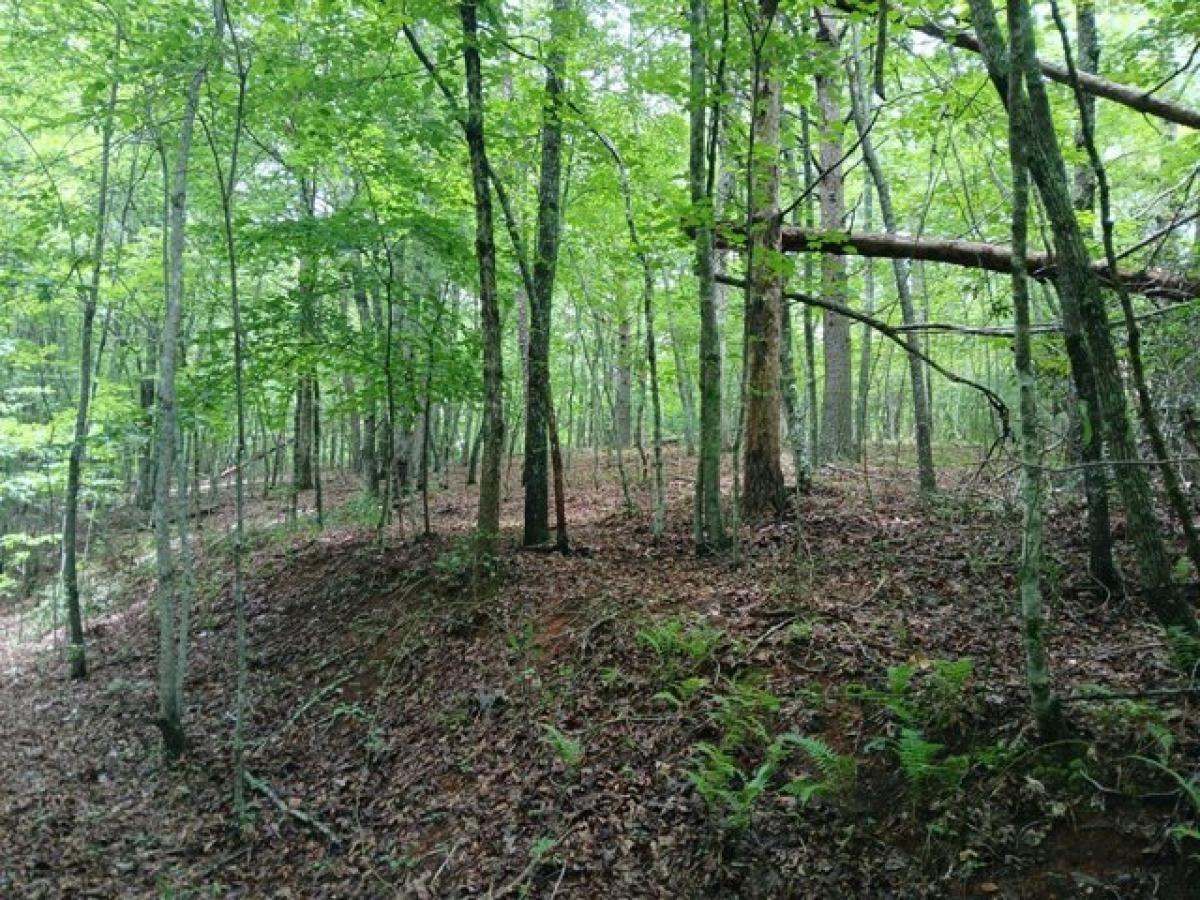 Picture of Residential Land For Sale in Mineral Bluff, Georgia, United States