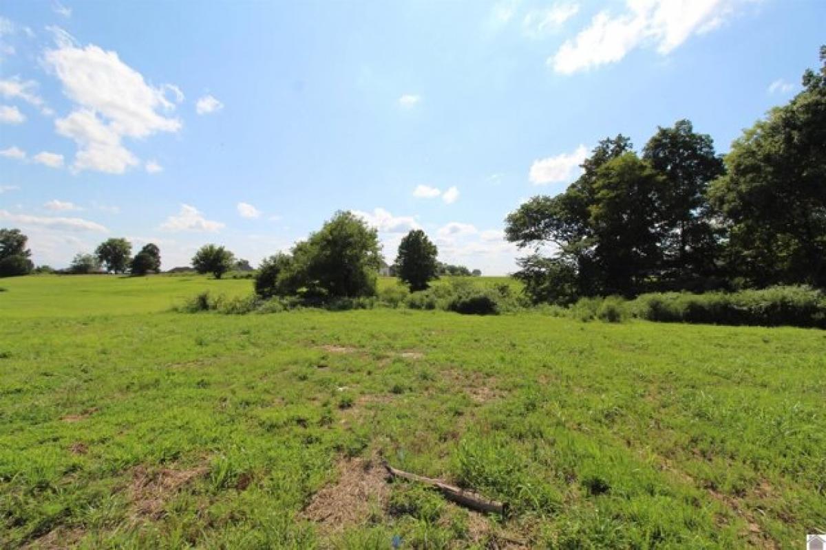 Picture of Residential Land For Sale in Ledbetter, Kentucky, United States