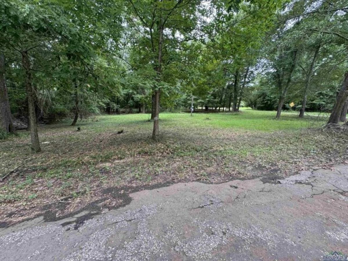 Picture of Residential Land For Sale in Avinger, Texas, United States