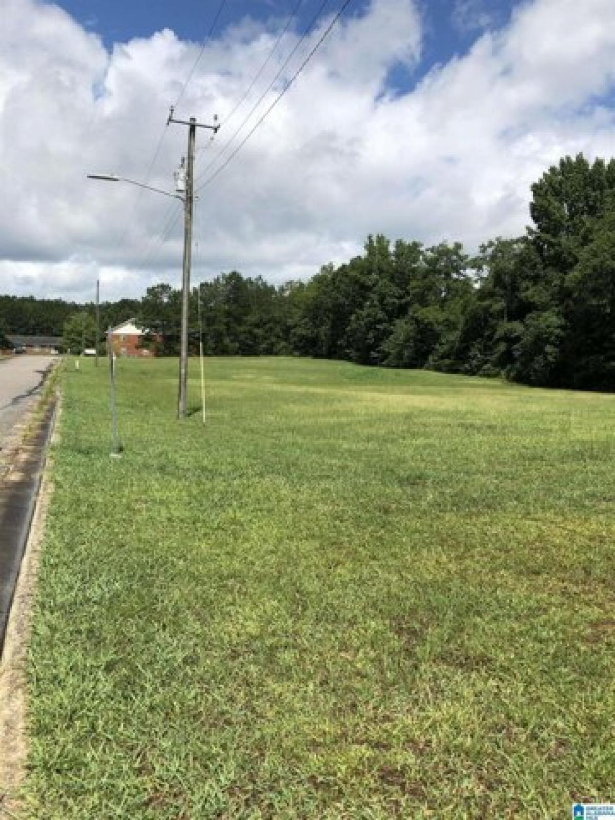 Picture of Residential Land For Sale in Clanton, Alabama, United States