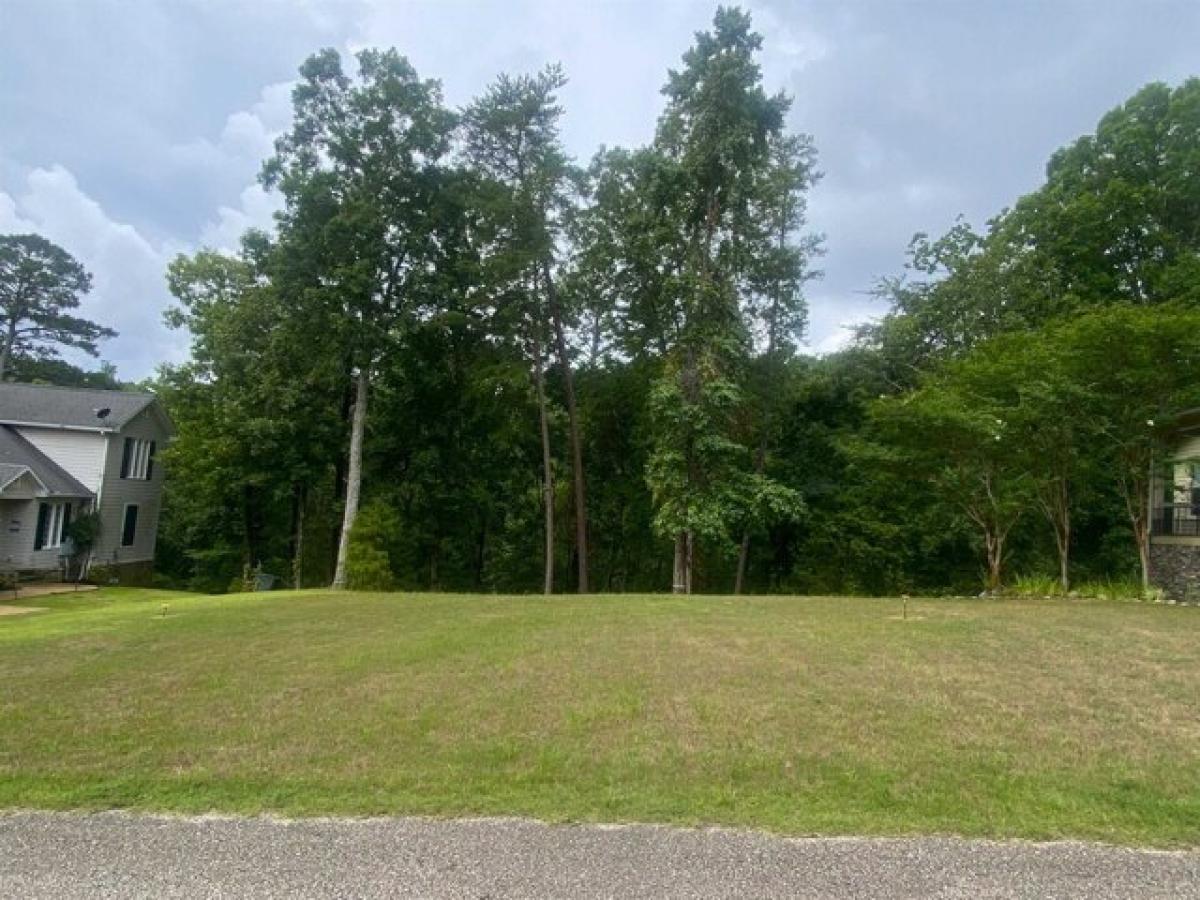 Picture of Residential Land For Sale in Savannah, Tennessee, United States