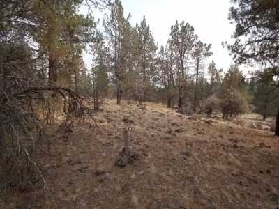 Residential Land For Sale in Bonanza, Oregon