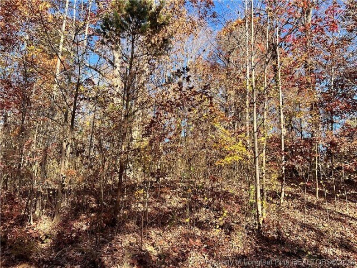 Picture of Residential Land For Sale in Sherrills Ford, North Carolina, United States