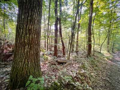 Residential Land For Sale in Candor, New York