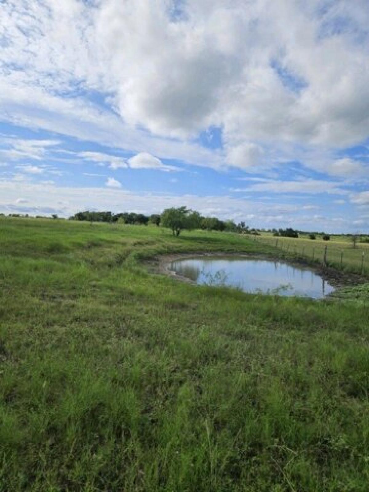 Picture of Residential Land For Sale in Riesel, Texas, United States