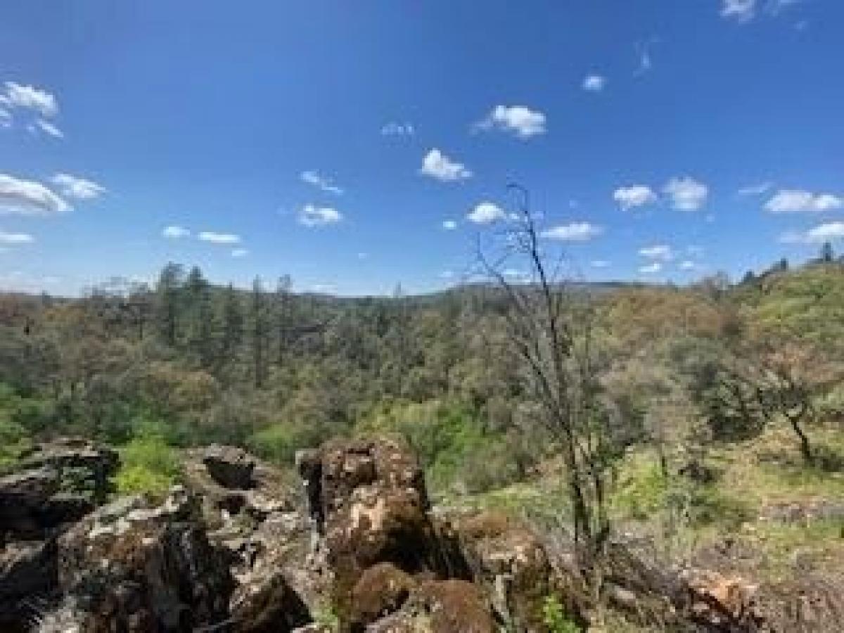 Picture of Residential Land For Sale in Grass Valley, California, United States