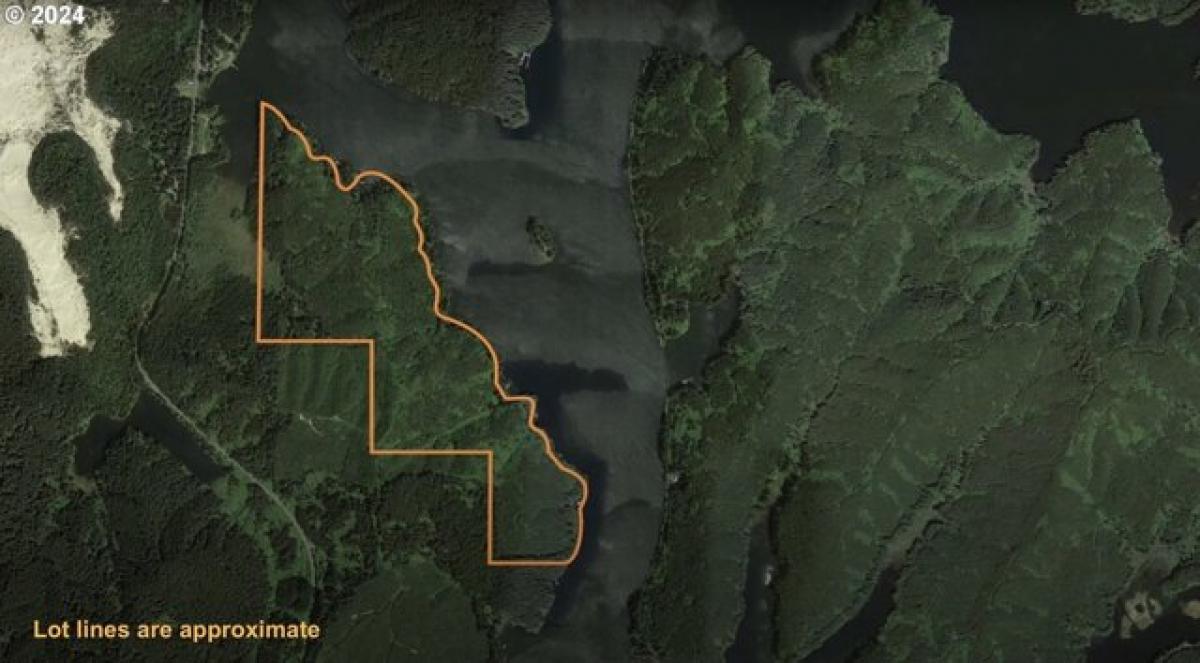 Picture of Residential Land For Sale in Gardiner, Oregon, United States