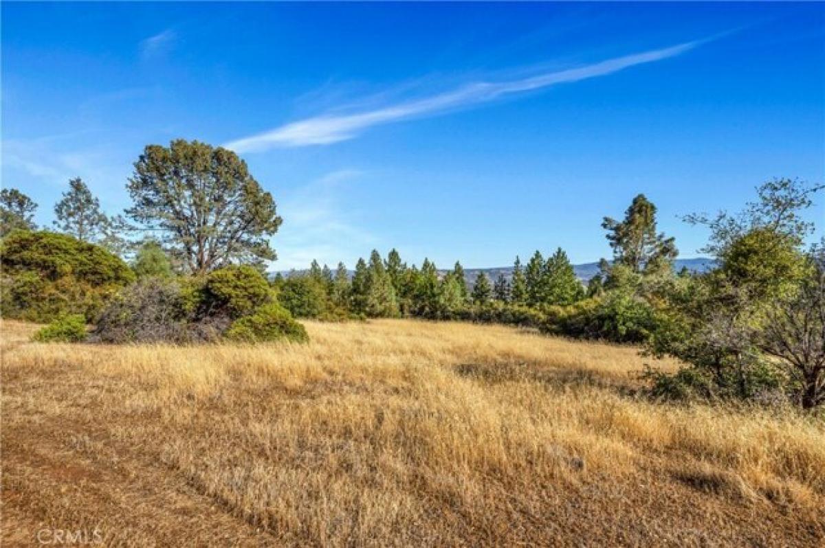 Picture of Residential Land For Sale in Middletown, California, United States